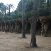 barcellona2016 10